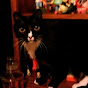 Profile Picture of Bonnie Bernard (@@BJB8849) on Tiktok