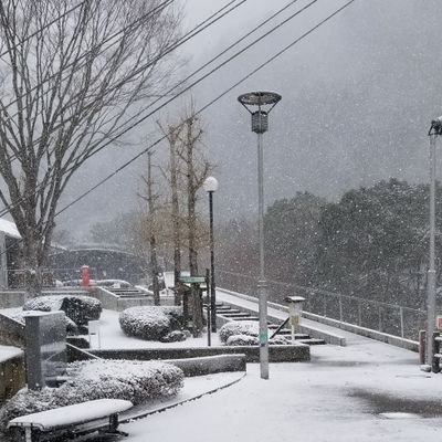 Profile Picture of Myong Woo Park (@woo_myong) on Twitter