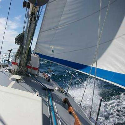 Profile Picture of Laurence Roger (@LR_TerrMar) on Twitter