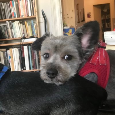 Profile Picture of Wendell Lum (@WendellLum) on Twitter