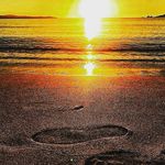 Profile Picture of Martini Beach Club Capo Testa (@martinibeachclub) on Instagram