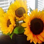 Profile Picture of Deborah Goulet (@deborah.goulet) on Instagram