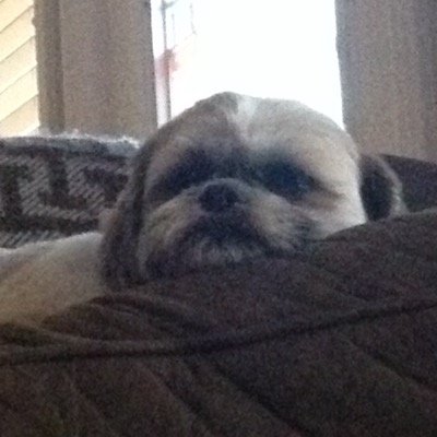 Profile Picture of James Prevost (@JamesAeroporte) on Twitter