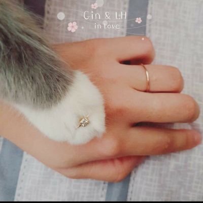 Profile Picture of TomHaLan (@TomHaLan1) on Twitter