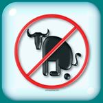 Profile Picture of Jim Kearney (@jkar1345) on Instagram