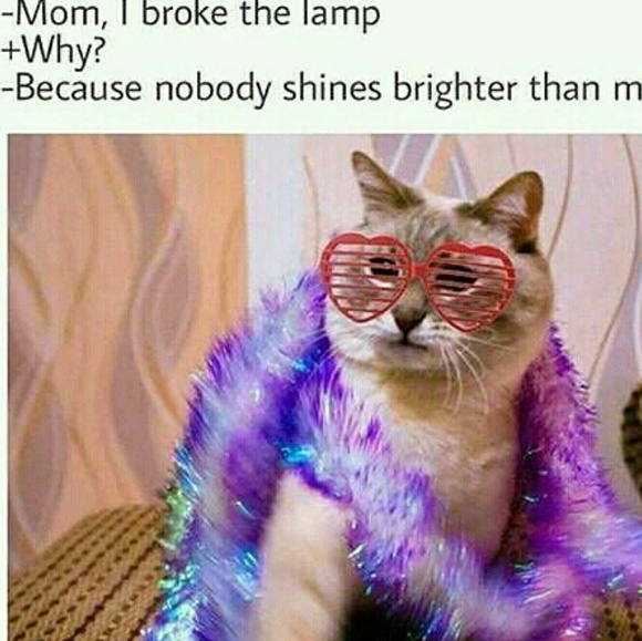 Profile Picture of Nikki Swieringa (@sneakers33139) on Poshmark