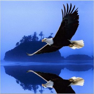 Profile Picture of Solange Batista (@228874750) on Myspace