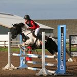 Profile Picture of 🇩🇰danish Showjumper🇩🇰 (@josephine_og_ponyerne) on Instagram