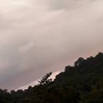 Profile Picture of manuela rivera (@manurivera1230) on Instagram