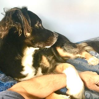 Profile Picture of Wally McLean (@wally.mclean.94) on Facebook