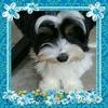 Profile Picture of loriperri2 (@@loriperri2) on Tiktok