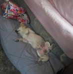 Profile Picture of Christy Soloman (@Christy-Soloman) on Facebook