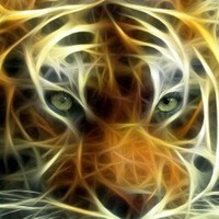 Profile Picture of Darren Sambucharan (@darren-sambucharan) on Quora