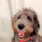 Profile Picture of Kristie Mccumber (@Kristie-Mccumber) on Facebook