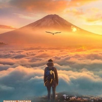 Profile Picture of David Sheffler (@sandman7991) on Twitter