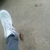 Profile Picture of Tyrone Charles (@tyrone-charles-13) on Quora