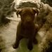 Profile Picture of Jake N Tara NeelHendricks (@Jake-N-Tara-NeelHendricks) on Facebook
