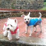 Profile Picture of Carlos Llera (@carlos_llera59) on Instagram