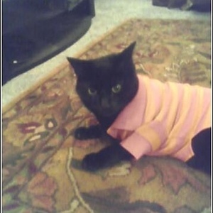 Colin Pearse - Myspace Profile Picture of Colin Pearse (@373149968) on Myspace