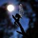 Profile Picture of Renee Hendrix Gwin (@hendrixgwin) on Pinterest