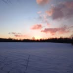 Profile Picture of Allison Steger (@Allison-Steger) on Facebook