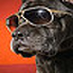 Profile Picture of arnold yuson (@an(.)(.)ng) on Flickr