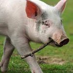 Profile Picture of Jackson Sethi (@tracyleanntracyl) on Instagram