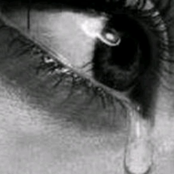 Profile Picture of Scott Pelle (@scottpelle0) on Tiktok