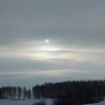 Profile Picture of Tisdale (@tisdalemarceli) on Instagram