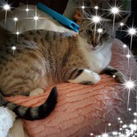 Profile Picture of Kelly Mccracken (@kelly-mccracken-21) on Quora