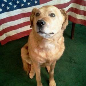 Profile Picture of (Rev) JAmes A RAgan (@golden15739) on Twitter