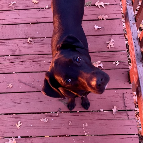 Profile Picture of Mackenzie Gauldin (@kenzg12) on Poshmark