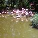 Profile Picture of Sheryl Keller (@sherrkel) on Pinterest