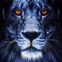 Profile Picture of MOHAMMAD SOLIMAN (@MOHAMMA04819327) on Twitter