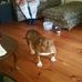 Profile Picture of Danny Pendergrass (@danny.pendergrass.79) on Facebook