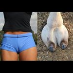 camel toe  Instagram