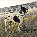 Profile Picture of James Taggesell (@sercanino) on Instagram