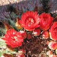 Profile Picture of Lydia Daye (@lydia-daye) on Quora