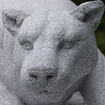 Chris Miller - Instagram Profile Picture of Chris Miller (@chrismillerstudio) on Instagram