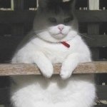 Profile Picture of Cody-Shea C🐘 (@nope.nope.nopez) on Instagram