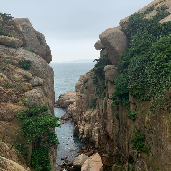 Profile Picture of Wendy Shao (@wendyshao) on Poshmark