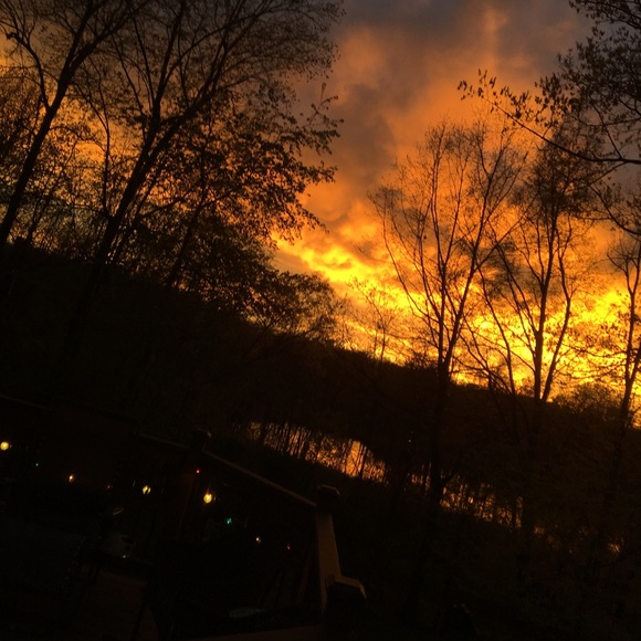 Profile Picture of Madelyn Mitchko (@mads59) on Poshmark