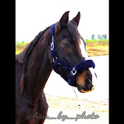 Profile Picture of Daniel Derksen (@daniel877ify) on Youtube