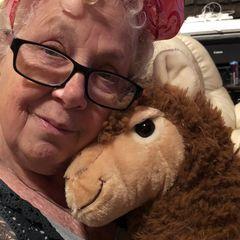 Profile Picture of Pamela Lett (@pamelalett2) on Tiktok