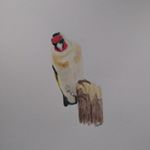 Profile Picture of Chris Wilkinson (@csjw_art) on Instagram