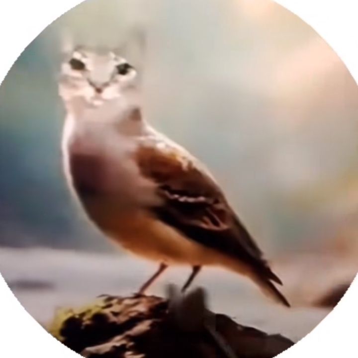 Gurt💔✌️ - Tiktok Profile Picture of Gurt💔✌️ (@danielg845_) on Tiktok