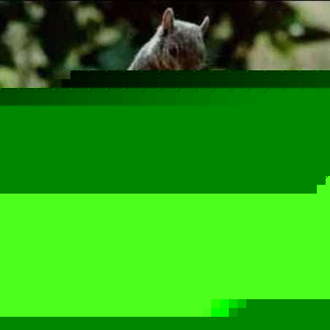 Profile Picture of D'arcy Stovall (@125000270) on Myspace