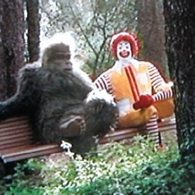 Profile Picture of Casey McGrath (@mfatoldsun) on Twitter