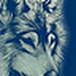 Profile Picture of Mark Phillips (@PhillipsPhotographics) on Flickr