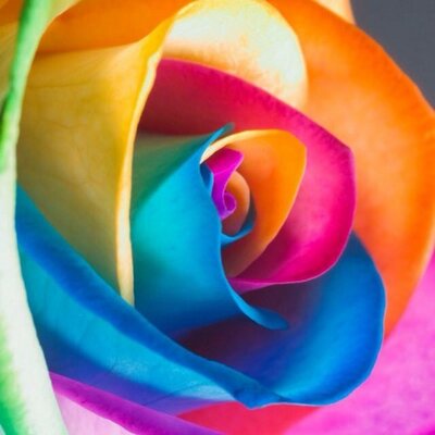 Profile Picture of Julia Postilli (@ghilliegirl12) on Twitter